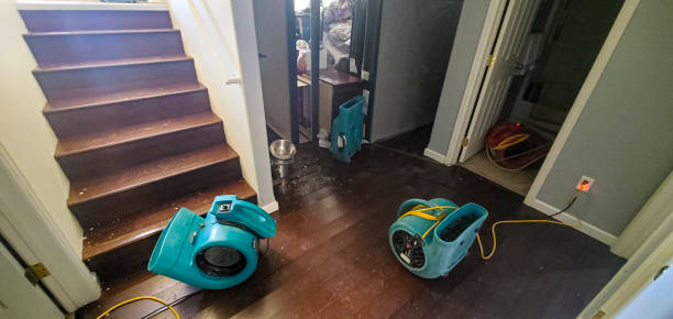 Best Flood damage cleanup  in Coram, NY