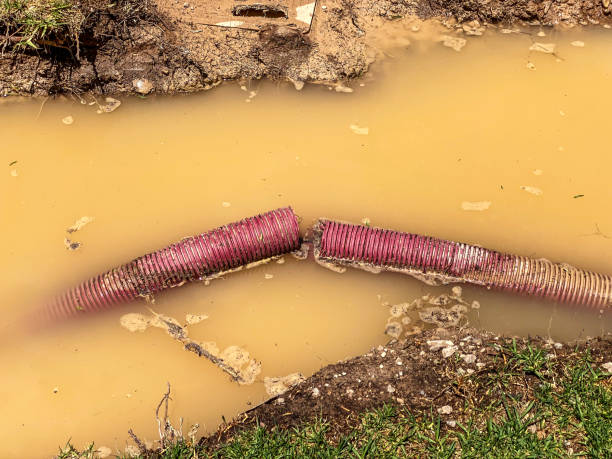 Best 24-hour water damage restoration  in Coram, NY